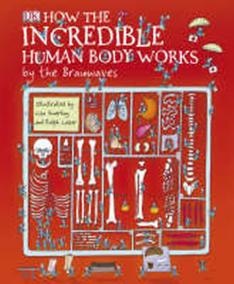 How Incredible Human Body Work