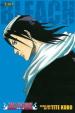 Bleach 7, 8 - 9