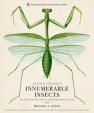 Innumerable Insects : The Story of the Most Diverse and Myriad Animals on Earth