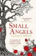 Small Angels: ´A twisting gothic tale of darkness, intrigue, heartbreak and revenge´ Jennifer Saint
