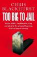 Too Big to Jail : Inside HSBC, the Mexican drug cartels and the greatest banking scandal of the century