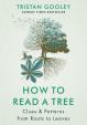 How to Read a Tree : Clues - Patterns from Roots to Leaves
