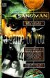 Sandman 05: Game of You