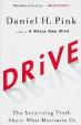 Drive : The Surprising Truth About What Motivates Us