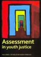 Assessment in youth justice