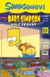 Simpsonovi - Bart Simpson 11/2017 - Holé pravdy