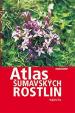 Atlas šumavských rostlin