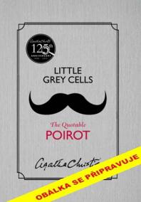 Malé šedé buňky: Jak to vidí Poirot