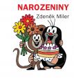 Narozeniny