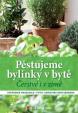 Pěstujeme bylinky v bytě - Čerstvé i v zimě