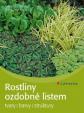 Rostliny ozdobné listem - tvary, barvy, struktury