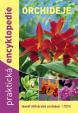 Orchideje - Praktická encyklopedie - téměř 600 druhů orchidejí