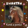 Zvířátka - Koně a poníci