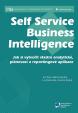 Self Service Business Inteligence