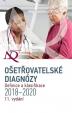 Ošetřovatelské diagnózy - Definice a kla