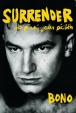 Surrender - 40 písní, jeden příběh