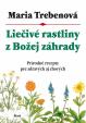 Liečivé rastliny z Božej záhrady