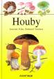 Houby