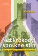 Než krokodýl spolkne stín