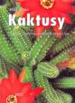 Kaktusy