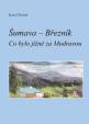 Šumava - Březník