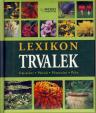 Lexikon trvalek