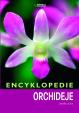 Orchideje- encyklopedie
