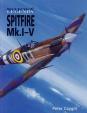 Bojové legendy - Spitfire Mk.I-V