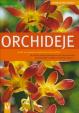 Orchideje - Zahrada pro radost