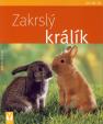 Zakrslý králík - Jak na to