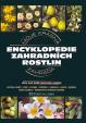 Encyklopedie zahradních rostlin