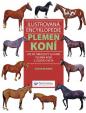 Ilustrovaná encyklopedie koní