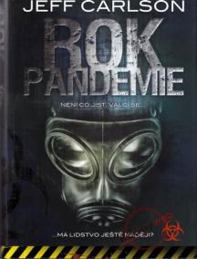 Rok pandemie