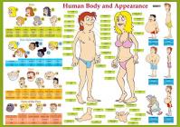 Karta -Human Body and Appearance- - Lids