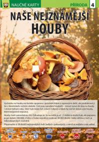 Naše nejznámější houby - Naučná karta