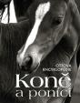 Koně a poníci - Ottova encyklopedie