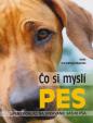 CO SI MYSLI PES