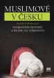 Muslimové v Česku - Etablování muslimů a islámu na veřejnosti