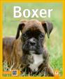 Boxer – 2. vydání