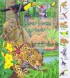 Zvieratá a rastliny v džungli - Môj veľký obrázkový slovník o prírode