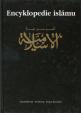 Encyklopedie islámu