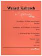 Symfónia č. 1 D dur pre orchester (Wenzel Kallusch)